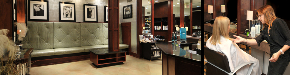 Richmond Va Hair Salon Karina S Salon In Carytown